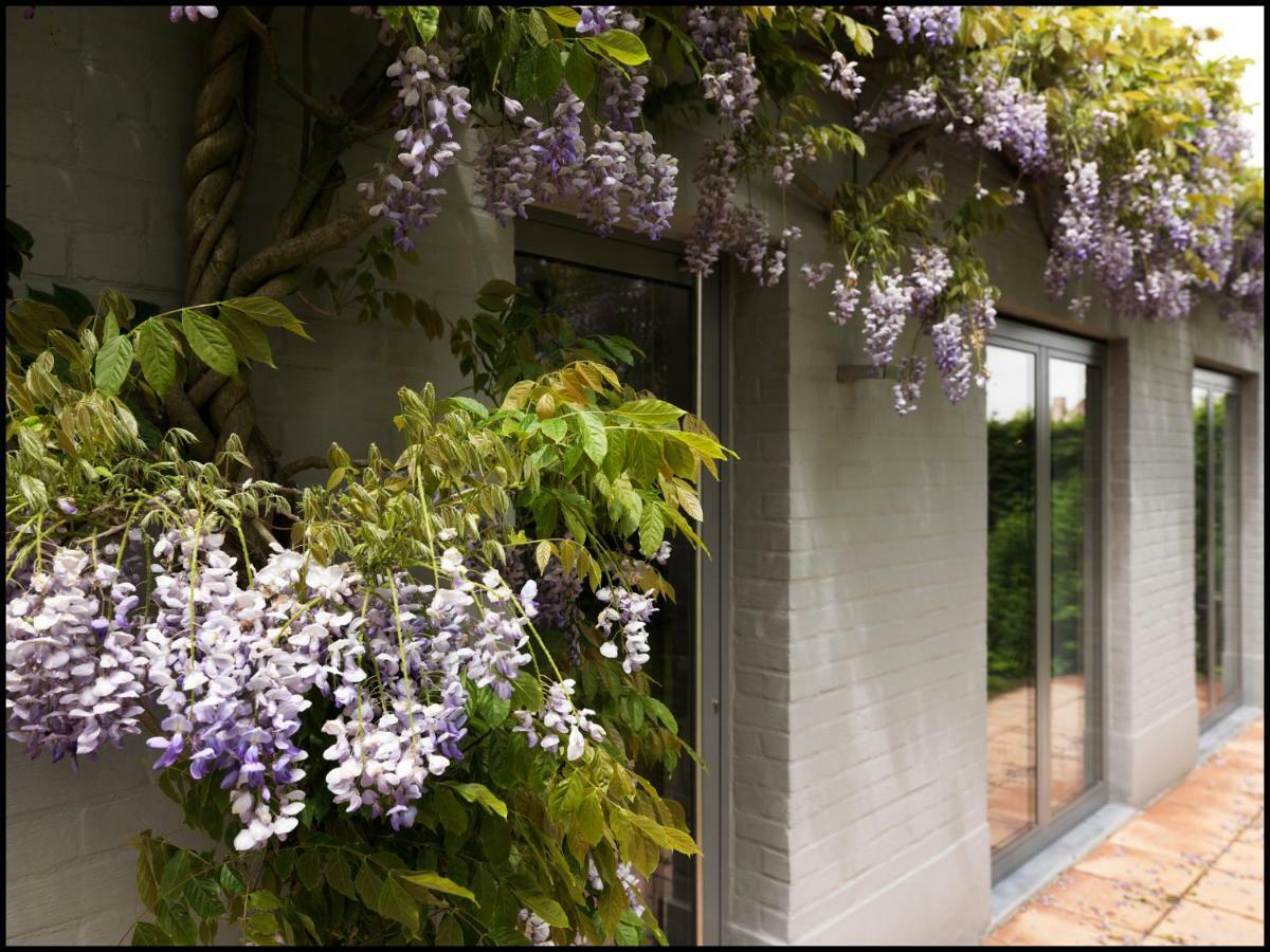 Rooseboom22 Bed & Breakfast Aartrijke Exterior foto