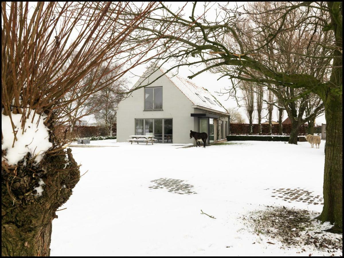 Rooseboom22 Bed & Breakfast Aartrijke Exterior foto