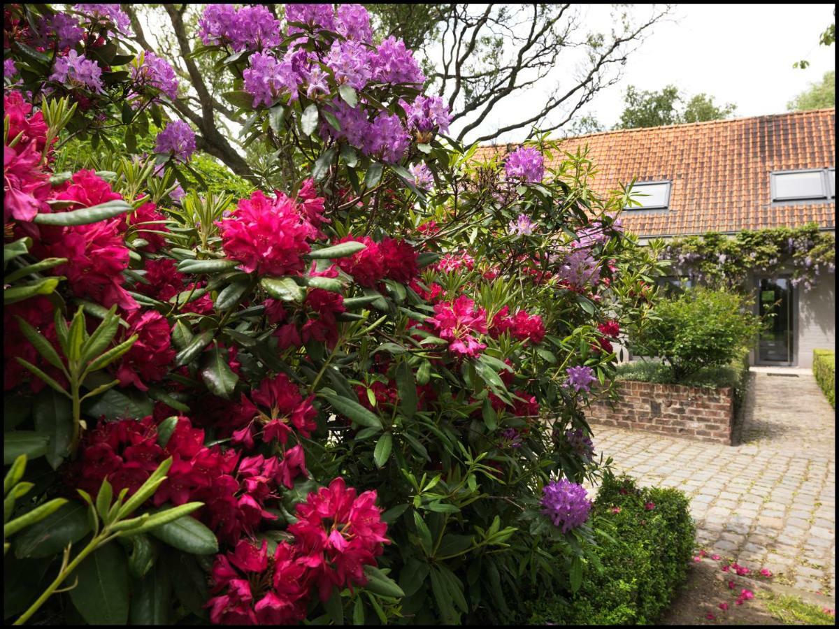 Rooseboom22 Bed & Breakfast Aartrijke Exterior foto